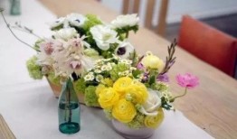 2023花之日最新爆料,最新爆料带你领略花卉盛宴